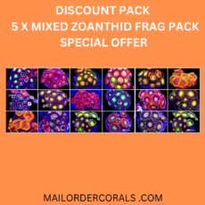 DISCOUNT PACK - 5 X SELECTION PACK MIXED ZOANTHID FRAGS