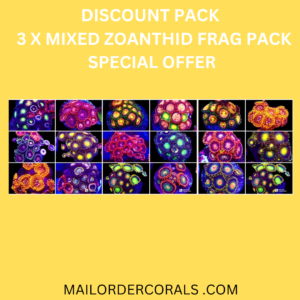 DISCOUNT PACK - 3 X SELECTION PACK MIXED ZOANTHID FRAGS (10+Polyps Each Frag )