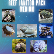 Reef Janitor Pack / Clean Up Crew - Medium