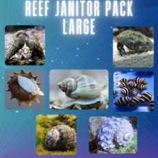 Reef Janitor Pack / Clean Up Crew - Large