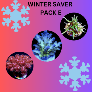 WINTER SAVER PACK E - SPECIAL OFFER