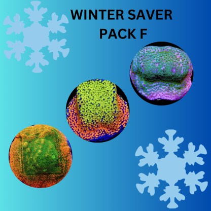 WINTER SAVERS  PACK F - SPECIAL OFFER