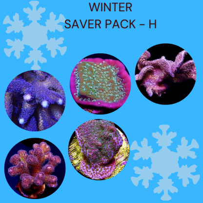 WINTER SAVER PACK H - SPECIAL OFFER