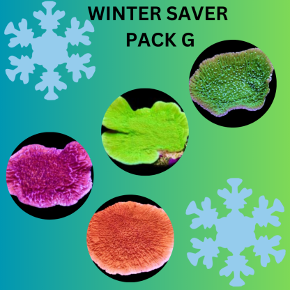 WINTER SAVER PACK G - SPECIAL OFFER