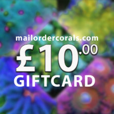 mailordercorals.com giftcard