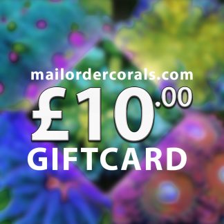 mailordercorals.com giftcard