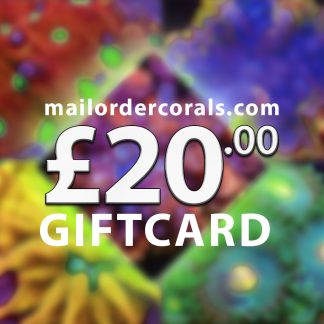 mailordercorals.com giftcard