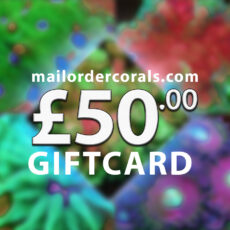 mailordercorals.com giftcard