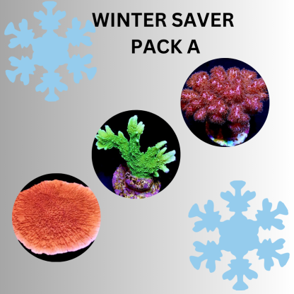 WINTER SAVER PACK A - SPECIAL OFFER