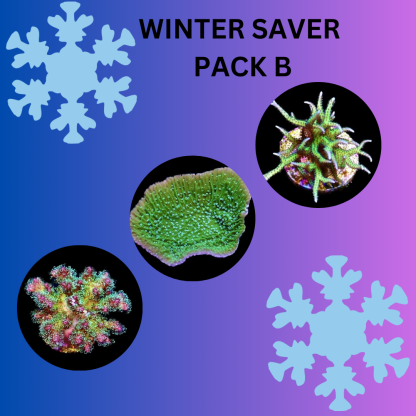 WINTER SAVER PACK B - SPECIAL OFFER