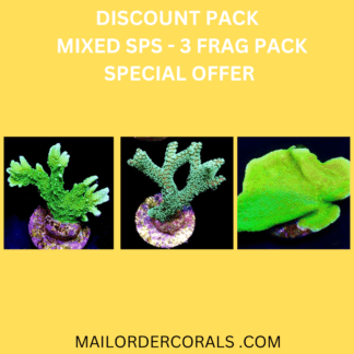DISCOUNT PACK - MIXED SPS - 3 FRAG PACK (2) - SPECIAL OFFER