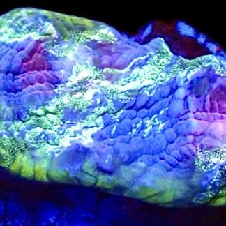 WYSIWYG T4 Urban Graffiti Rainbow Chalice Frag