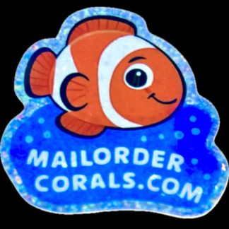 M.O.C Clownfish Sticker