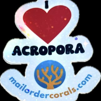 M.O.C I Love Acropora Sticker