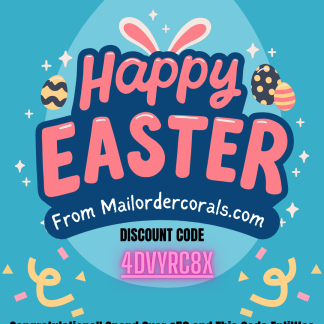 Congratulations You Have Found One !!!