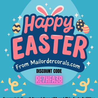 Congratulations You Have Found One !!!