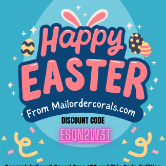 Congratulations You Have Found One !!!