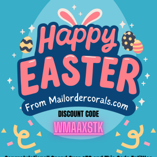 Congratulations You Have Found One !!!