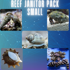 Reef Janitor Pack / Clean Up Crew - Small