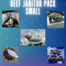 Reef Janitor Pack / Clean Up Crew - Small